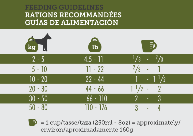 inukshuk_3232_adult_feeding-01.png